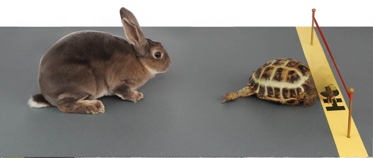 20 Best Fables to Teach Valuable Moral Lessons to Kids